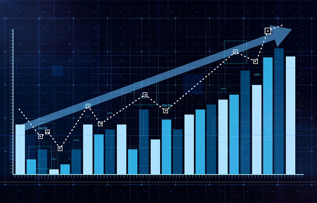 12-Month Grooming Profit Projection