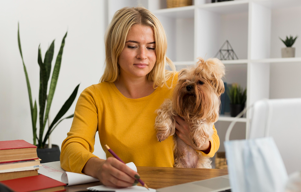 Business Insurance Questions for Pet Grooming Businesses