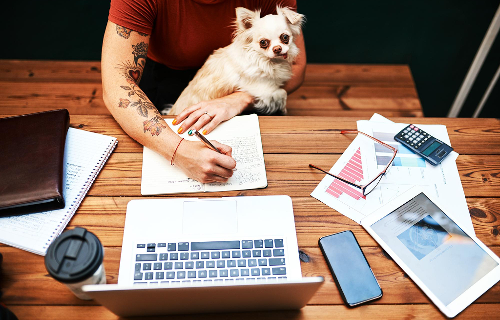 Grooming Business Startup Cost Worksheet