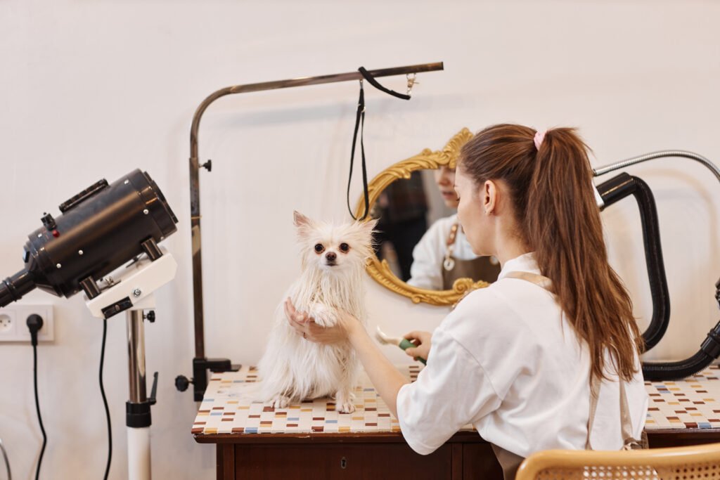 Grooming Table Setup and Station Reset