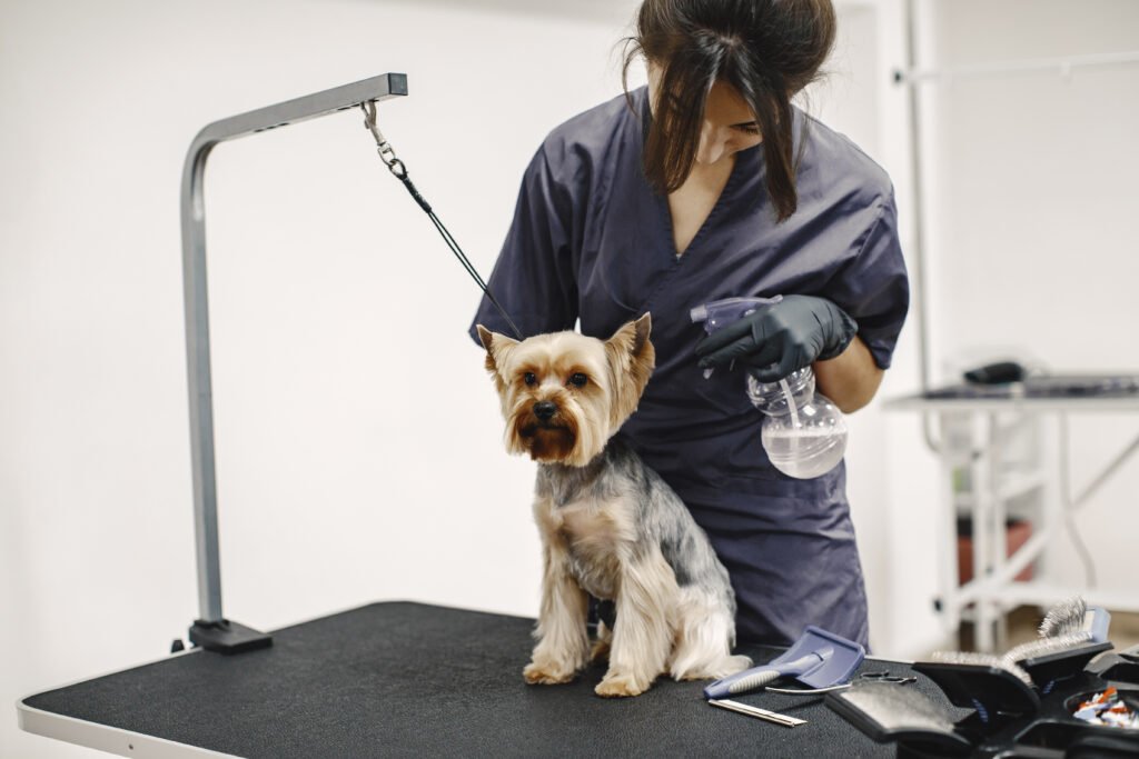 Mobile Grooming Equipment List