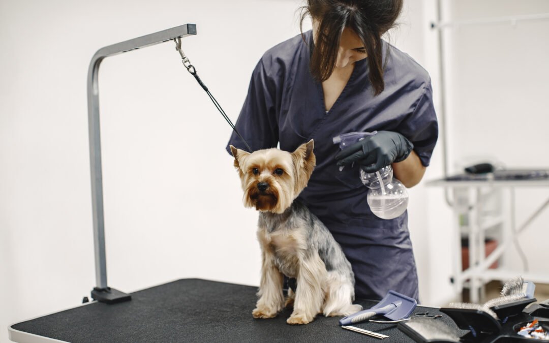 Mobile Grooming Equipment List