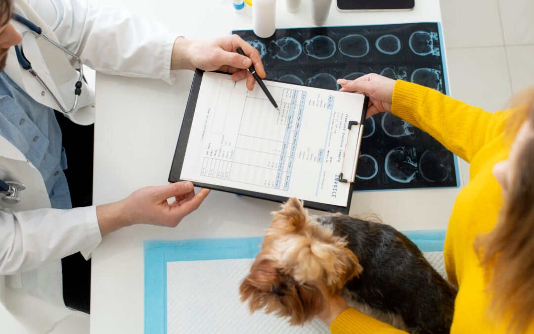 Pre-Groom Assessment Procedure